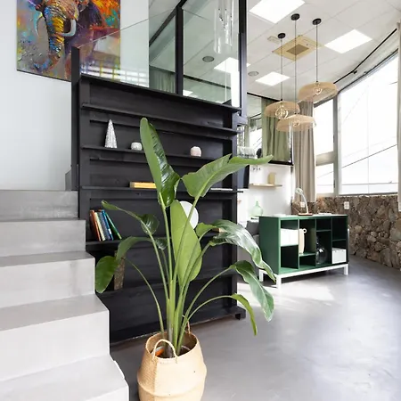 Okstay Loft Victoria Tenerife Apartamento